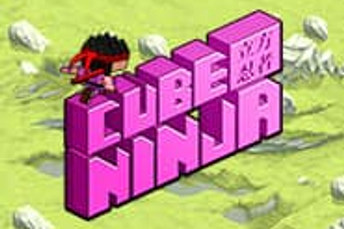 Cube Ninja