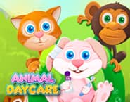 Animal Daycare